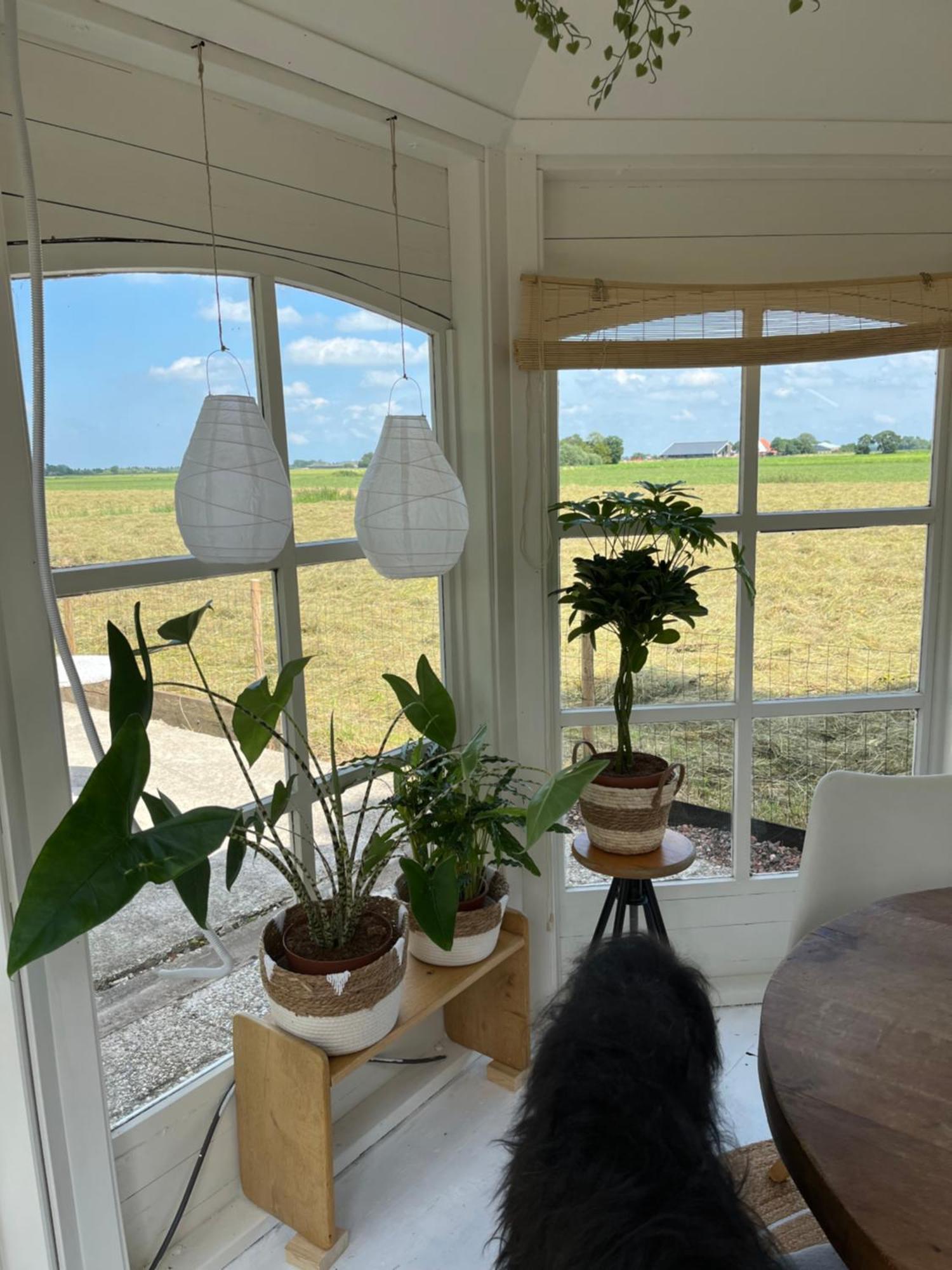 By Mosk Bed & Breakfast Engelum ภายนอก รูปภาพ